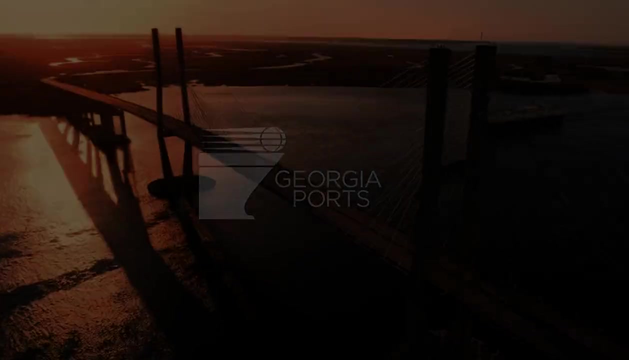 Georgia Port — advertising video still
